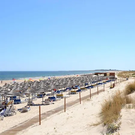 Almargem 42 *